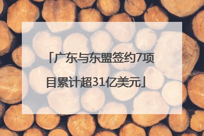 广东与东盟签约7项目累计超31亿美元