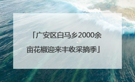 广安区白马乡2000余亩花椒迎来丰收采摘季