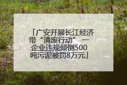 广安开展长江经济带“清废行动” 一企业违规倾倒500吨污泥被罚8万元