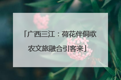 广西三江：荷花伴侗歌 农文旅融合引客来