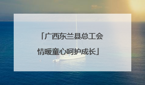 广西东兰县总工会情暖童心呵护成长