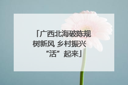 广西北海破陈规树新风 乡村振兴“活”起来
