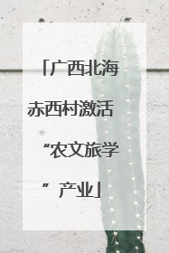 广西北海赤西村激活“农文旅学”产业