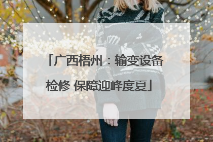 广西梧州：输变设备检修 保障迎峰度夏