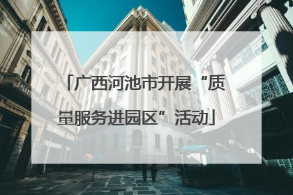 广西河池市开展“质量服务进园区”活动