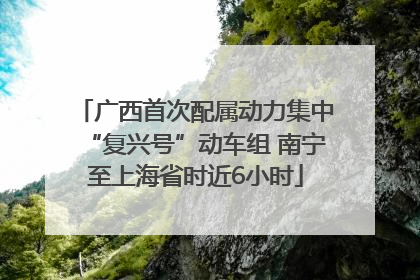 广西首次配属动力集中“复兴号”动车组 南宁至上海省时近6小时
