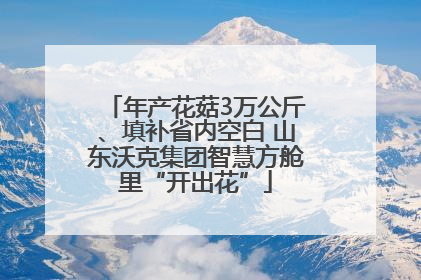 年产花菇3万公斤、填补省内空白 山东沃克集团智慧方舱里“开出花”