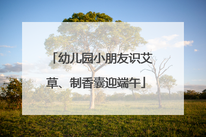 幼儿园小朋友识艾草、制香囊迎端午