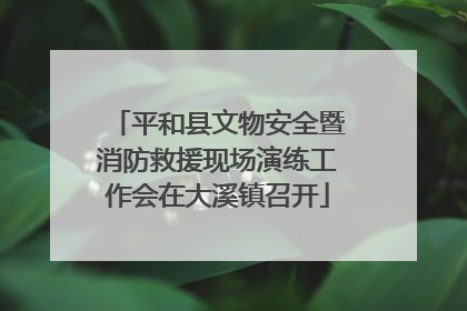 平和县文物安全暨消防救援现场演练工作会在大溪镇召开