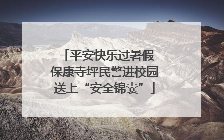 平安快乐过暑假 保康寺坪民警进校园送上“安全锦囊”