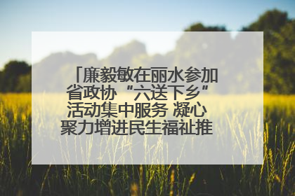 廉毅敏在丽水参加省政协“六送下乡”活动集中服务 凝心聚力增进民生福祉推进共同富裕