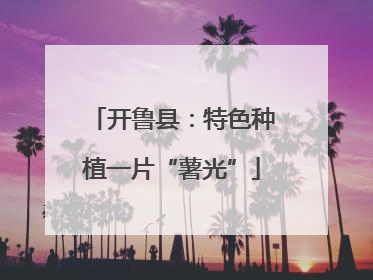 开鲁县：特色种植一片“薯光”