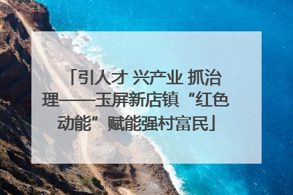 引人才 兴产业 抓治理——玉屏新店镇“红色动能”赋能强村富民