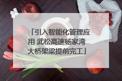 引入智能化管理应用 武松高速杨家湾大桥架梁提前完工