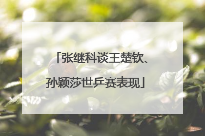 张继科谈王楚钦、孙颖莎世乒赛表现