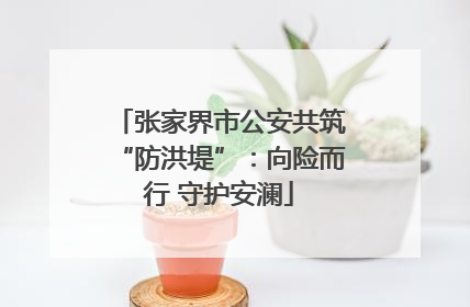张家界市公安共筑“防洪堤”：向险而行 守护安澜
