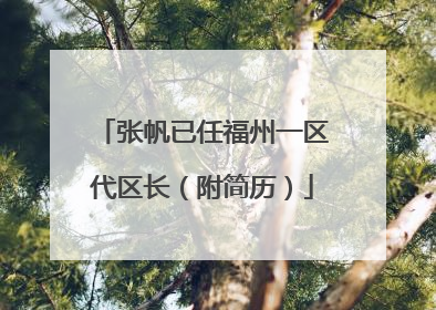 张帆已任福州一区代区长（附简历）