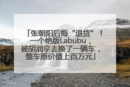 张朝阳后悔“退货”！一个绝版Labubu，被胡润拿去换了一辆车，整车原价值上百万元