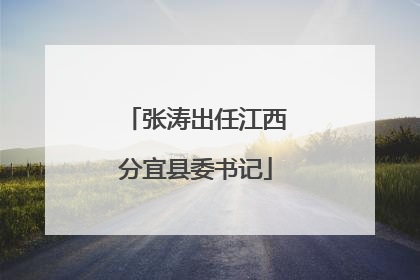 张涛出任江西分宜县委书记