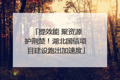 提效能 聚资源 护荆楚！湖北国债项目建设跑出加速度