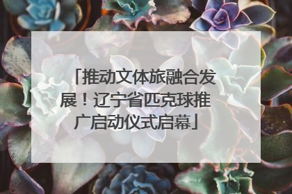 推动文体旅融合发展！辽宁省匹克球推广启动仪式启幕