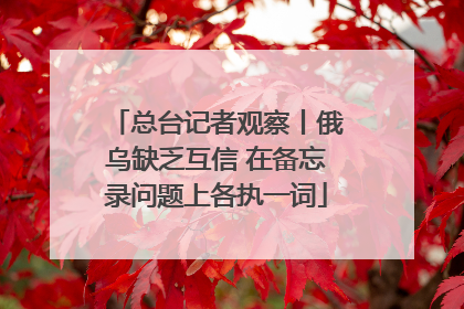 总台记者观察丨俄乌缺乏互信 在备忘录问题上各执一词