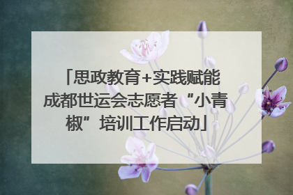 思政教育+实践赋能 成都世运会志愿者“小青椒”培训工作启动