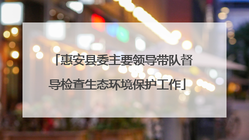 惠安县委主要领导带队督导检查生态环境保护工作