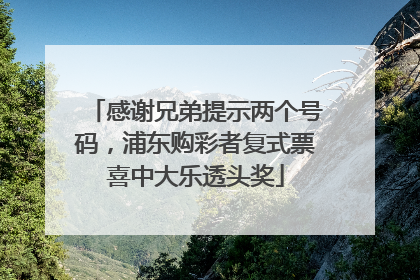 感谢兄弟提示两个号码，浦东购彩者复式票喜中大乐透头奖