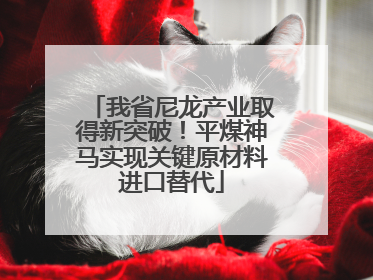 我省尼龙产业取得新突破！平煤神马实现关键原材料进口替代