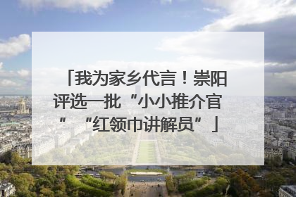 我为家乡代言！崇阳评选一批“小小推介官”“红领巾讲解员”