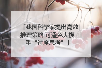 我国科学家提出高效推理策略 可避免大模型“过度思考”
