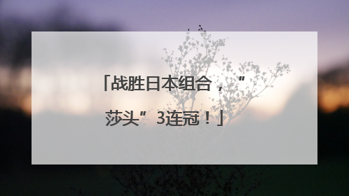 战胜日本组合，“莎头”3连冠！