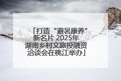 打造“避暑康养”新名片 2025年湖南乡村文旅投融资洽谈会在桃江举办