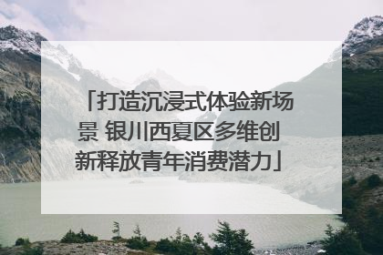 打造沉浸式体验新场景 银川西夏区多维创新释放青年消费潜力