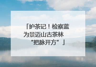 护茶记！检察蓝为景迈山古茶林 “把脉开方”