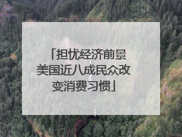 担忧经济前景 美国近八成民众改变消费习惯