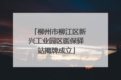 柳州市柳江区新兴工业园区医保驿站揭牌成立