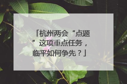 杭州两会“点题”这项重点任务，临平如何争先？