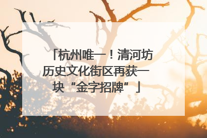 杭州唯一！清河坊历史文化街区再获一块“金字招牌”