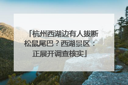 杭州西湖边有人拔断松鼠尾巴？西湖景区：正展开调查核实