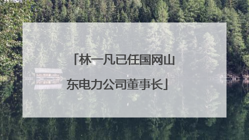 林一凡已任国网山东电力公司董事长