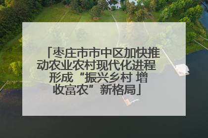 枣庄市市中区加快推动农业农村现代化进程 形成“振兴乡村 增收富农”新格局