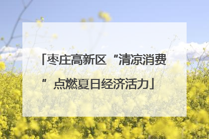 枣庄高新区“清凉消费”点燃夏日经济活力