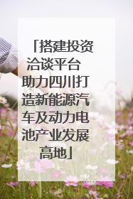 搭建投资洽谈平台 助力四川打造新能源汽车及动力电池产业发展高地