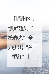 播州区：铆足劲头“抢春光”全力拼出“首季红”