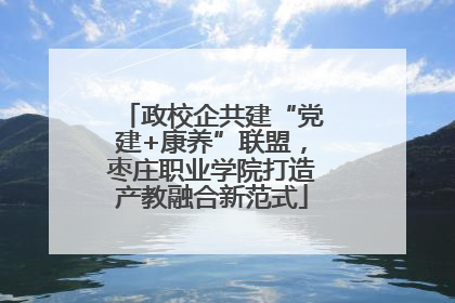 政校企共建“党建+康养”联盟，枣庄职业学院打造产教融合新范式