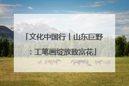 文化中国行丨山东巨野：工笔画绽放致富花