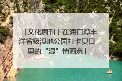 文化周刊丨在海口潭丰洋省级湿地公园打卡夏日里的“湿”情画意