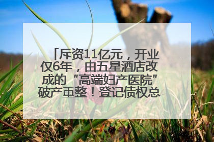 斥资11亿元，开业仅6年，由五星酒店改成的“高端妇产医院”破产重整！登记债权总额已超17亿元